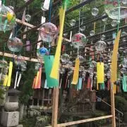 アヒルの画像