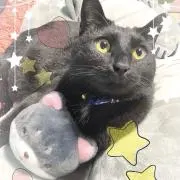 Leon⭐︎の画像
