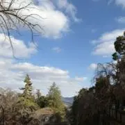 ダの画像