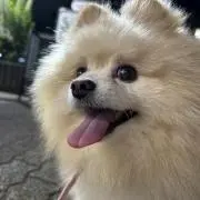 ハルの画像