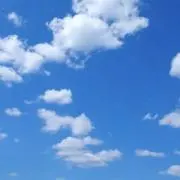 ココの画像
