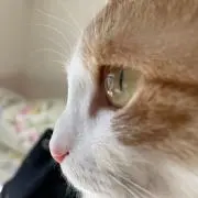 REIの画像