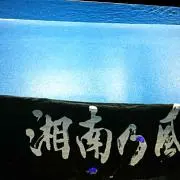 たつのこ