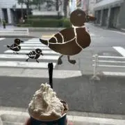 どんぐりの画像
