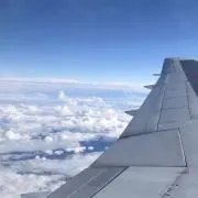 れむの画像