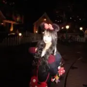 ここ