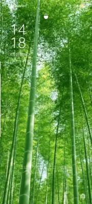 まぁー