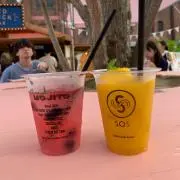 shiiの画像