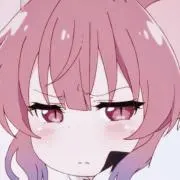 ぬこの画像