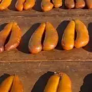 からすみ丸の画像