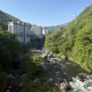 きーぬの画像