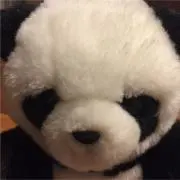 namyの画像