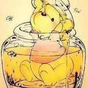 こたろうの画像