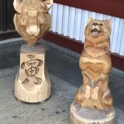 きらりの画像