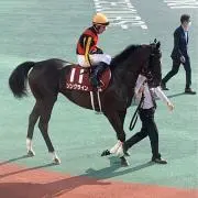 Captain Nemoの画像