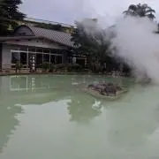 ニワトリの画像