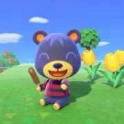 ゆいまるの画像