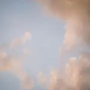 Haasの画像