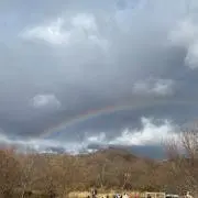 かぼちゃのケーキの画像