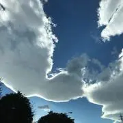 メイの画像
