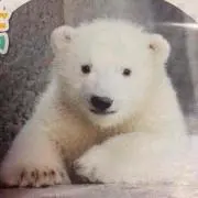 みー❗️セール中の画像