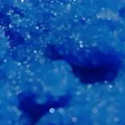 RIの画像