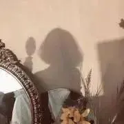 sameの画像