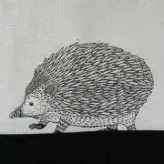 はりねずみの画像