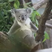 お値下げ交渉可能ですの画像