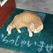 そなむ