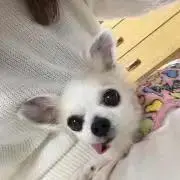 かんちゃん