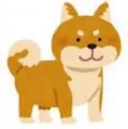 つぁんの画像