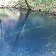 キラ☆の画像