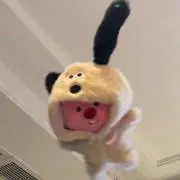 ドライフルーツ