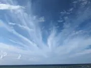 モコの画像