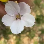s.☺︎*