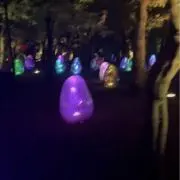 【引っ越し前断捨離中】みーの画像