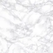 みかんの画像
