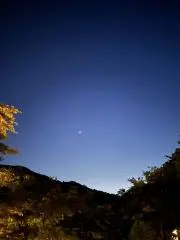 涼