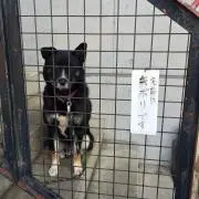 エンドー