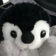 Penの画像