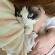 Rin〜オーダーストップ中〜