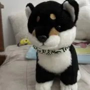dwdrの画像