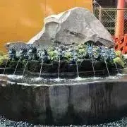 篝火※猫飼ってます/値下げ依頼OKꕤの画像