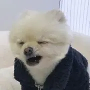 アイン