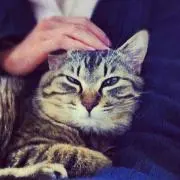 ショコラ