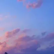 y★プロフ必読★