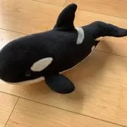 rie
