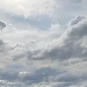 ぴりからの画像