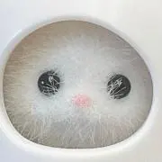neko✼̥*の画像